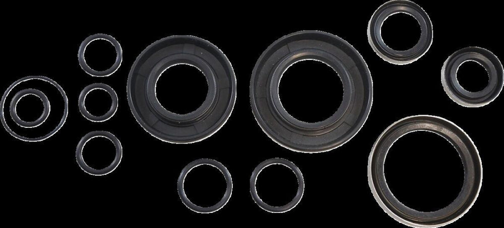 Vintco Oil Seal Kit For Kawasaki KDX 250 1980-1981