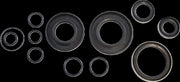 Vintco Oil Seal Kit For Kawasaki KDX 250 1980-1981