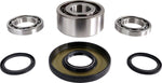 EPI Differential Bearing & Seal Kit For Polaris Brutus 900 4X4 2016
