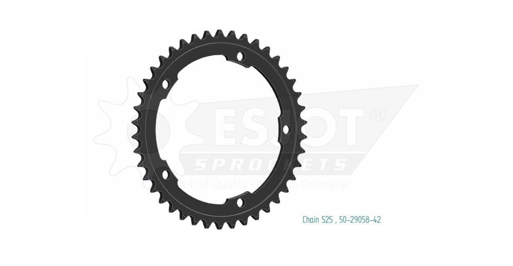 Esjot Standard 525 Sprocket For Kawasaki H2R 1000 2015-2021 Rear Black 42T