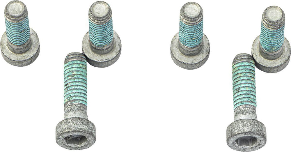 TRW Brake Disc Bolt Set For BMW F 650 CS 2002-2005 - Silver/Stainless Steel
