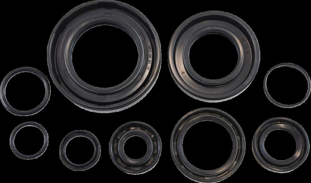 Vintco Oil Seal Kit For Honda CR250 1978-1979