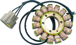 Ricks Stator For BMW S 1000 XR 2015-2019