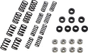 Kibblewhite Lightweight Racing Valve Spring Kit For Kawasaki EX 650 2012-2015 Exhaust/Intake