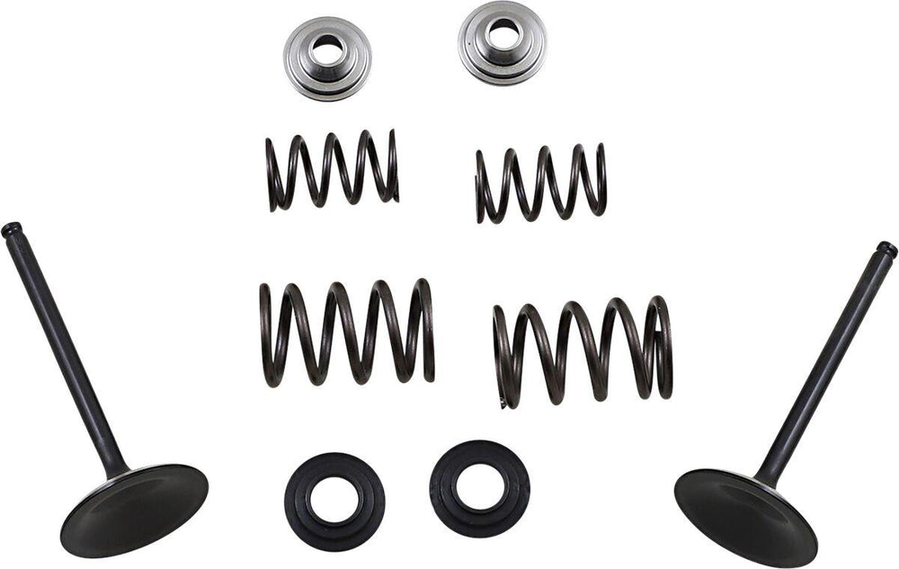 Moose Racing Stainless Intake Valve & Spring Kit For Suzuki LT-R 450 2X4 2006-2009