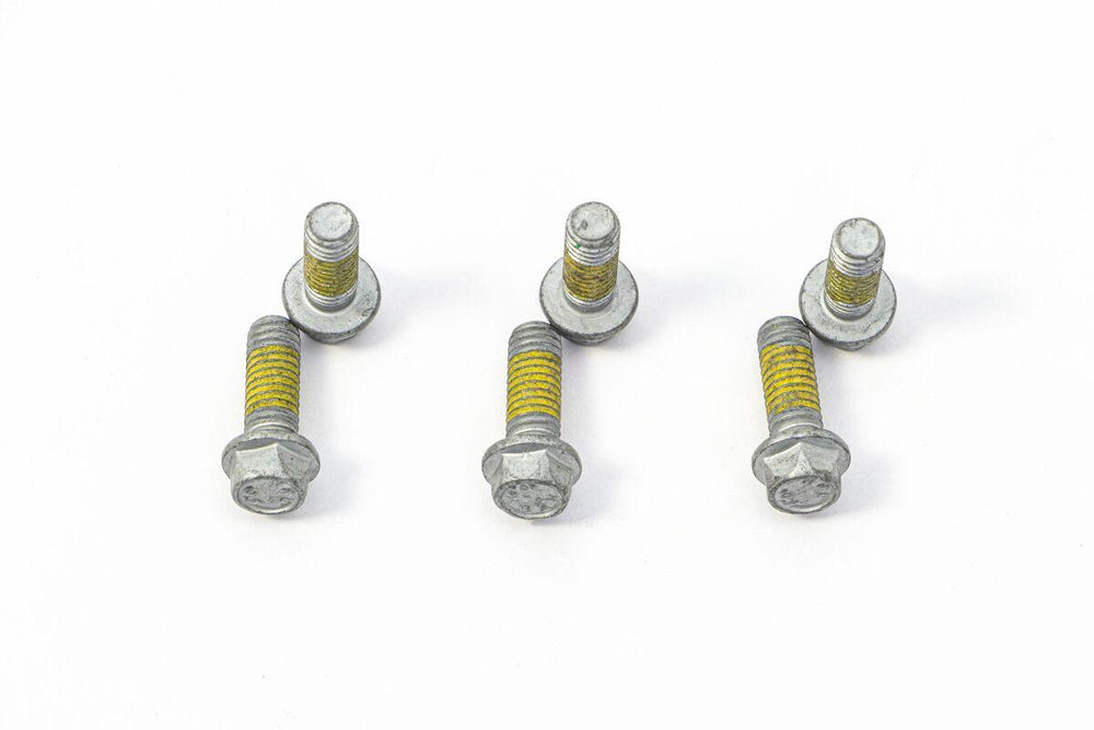 TRW Brake Disc Bolt Set For KTM Adventure 1190 2013-2016 - Silver/Stainless Steel