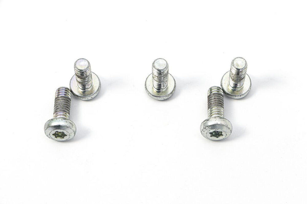 TRW Brake Disc Bolt Set For Harley Davidson FLD 1690 2012-2013 - Silver/Stainless Steel