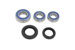 All Balls Wheel Bearing Kit For BMW G 310 GS ABS 2018-2021 Rear