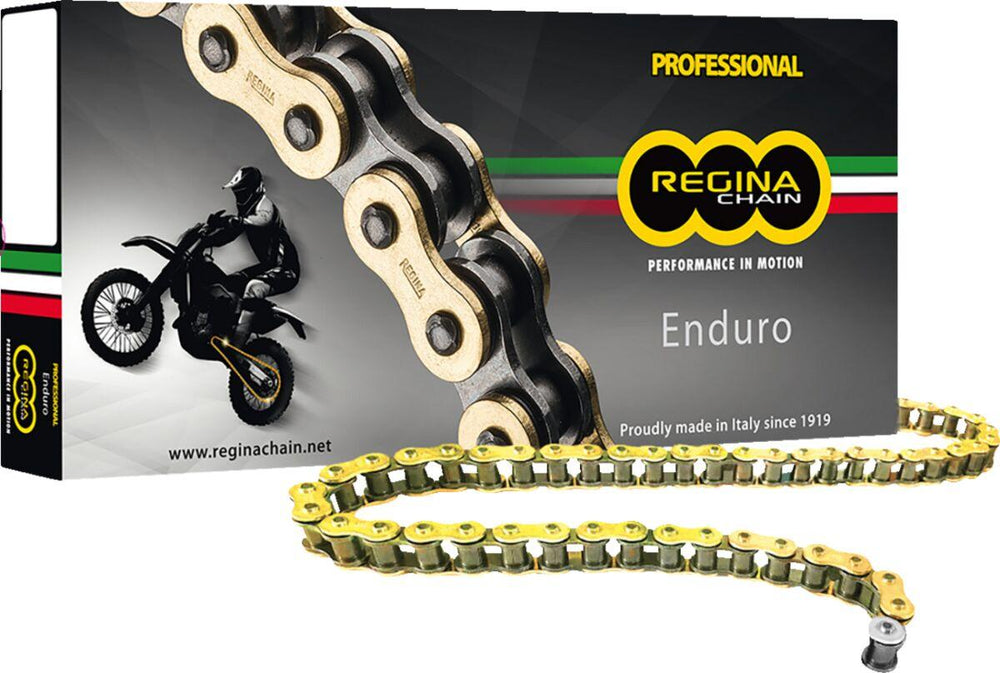 Regina 520 ZSE Chain 114 Links - Gold