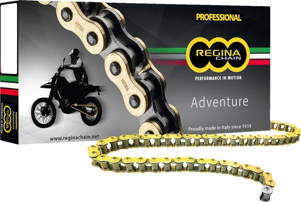 Regina 520 ZRE Z-Ring Chain 118 Links - Gold