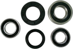 Pivot Works Wheel Bearing & Seal Kit For Suzuki GSF 1250S 2007-2009 Rear