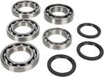 Moose Racing Differential Bearing & Seal Kit For Yamaha YFM 350 FGI 4X4 Grizzly IRS 2007-2011 Front