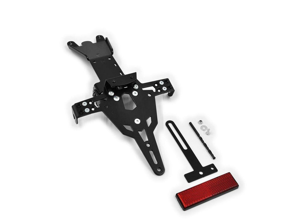 Zieger PRO Tail Unit Type A For Ducati Panigale 1199 2012-2013 Rear Clear
