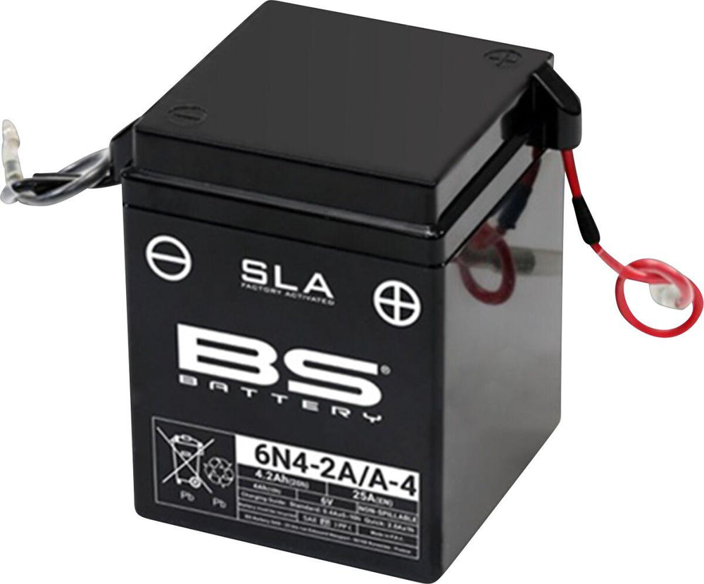BS Battery SLA AGM Battery For Suzuki A 100 1976 - Black White