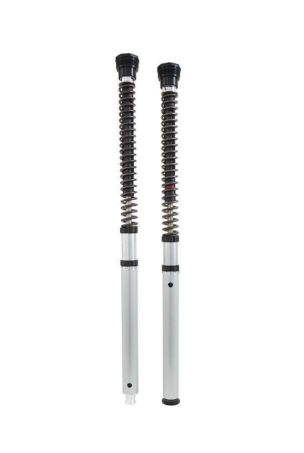Ohlins NIX 22 Cartridge Kit For Kawasaki ZX-6 R 636 2013-2023 - Silver