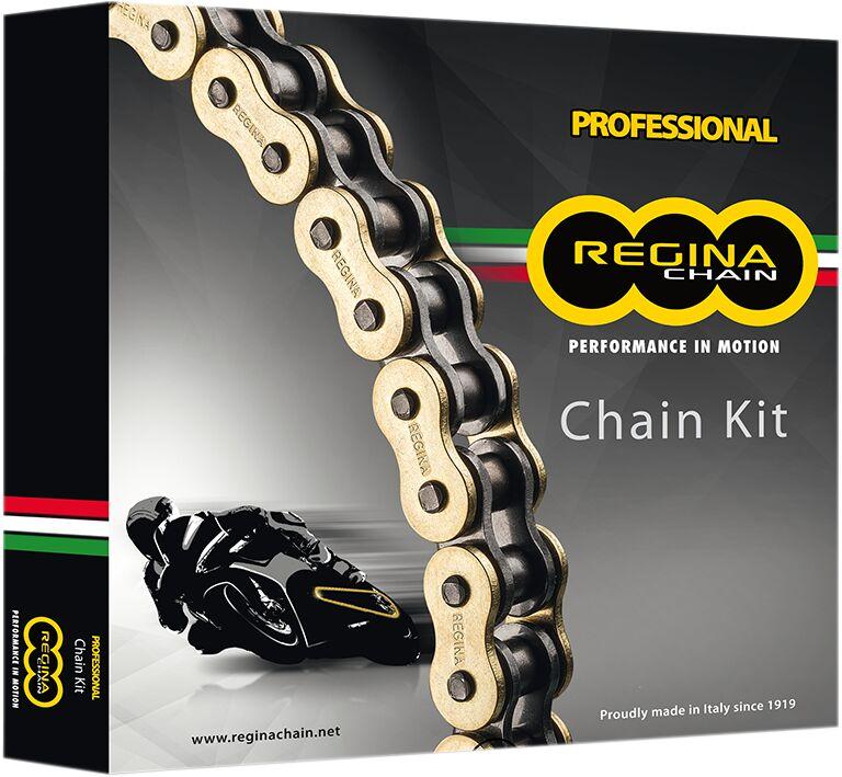 Regina 520 ZRT Chain & Sprocket Kit For Ducati Monster 696 2008-2014 108 Links 15T X 45T