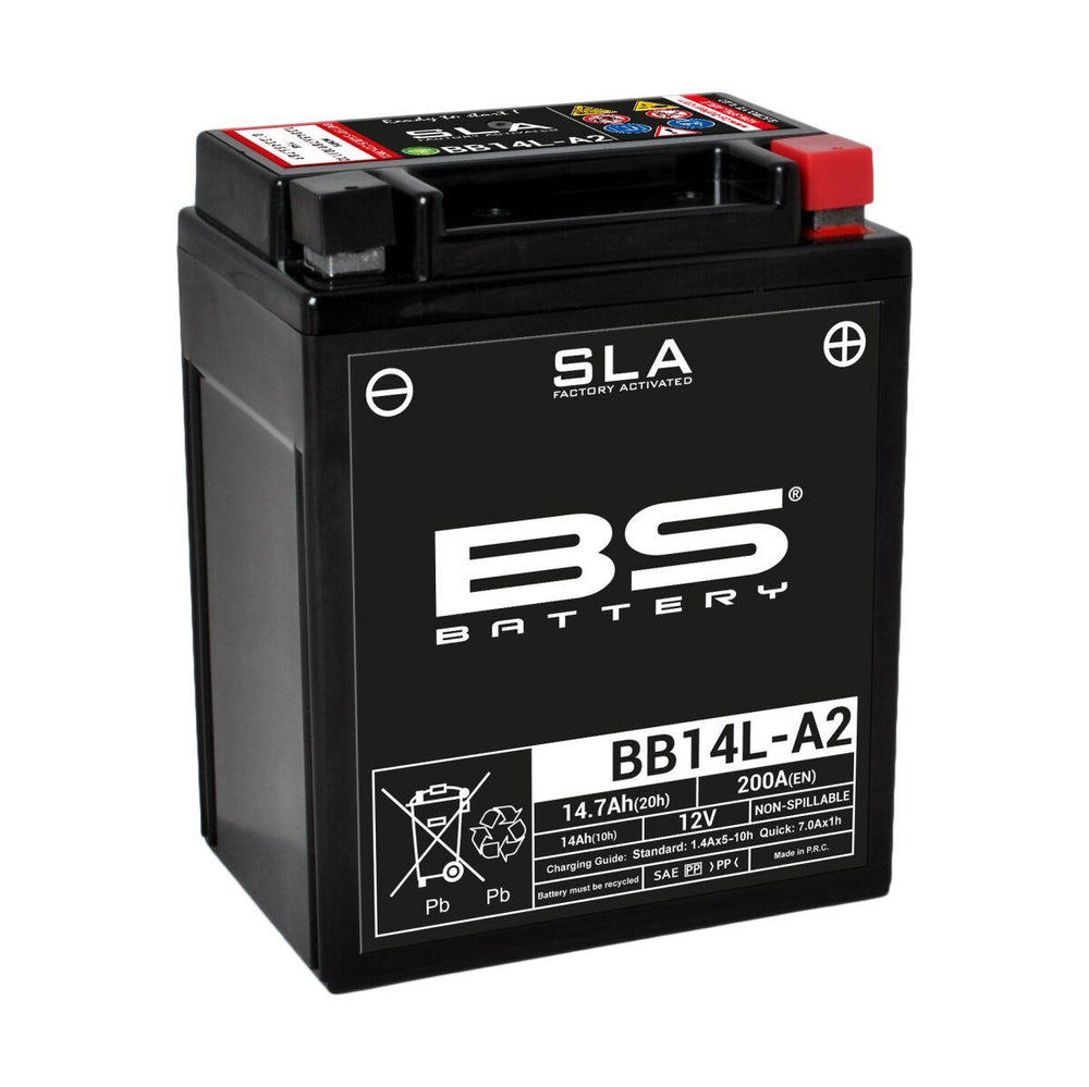 BS Battery SLA AGM Battery For Arctic Cat Textron 250 2X4 - Black