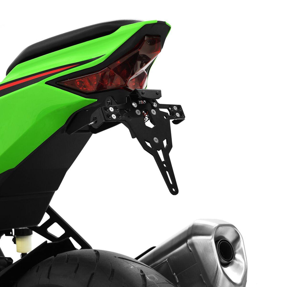 Zieger PRO Tail Unit Type A For Harley Davidson FXDL 1690 Dyna Low Rider 2016-2017