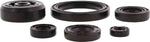 Moose Racing Oil Seal Kit For Yamaha WRF450 2024-2025