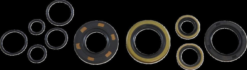 Vintco Oil Seal Kit For Kawasaki KX125 A 1978-1979
