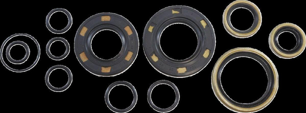 Vintco Oil Seal Kit For Kawasaki KDX 250 1980-1981