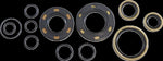 Vintco Oil Seal Kit For Kawasaki KDX 250 1980-1981