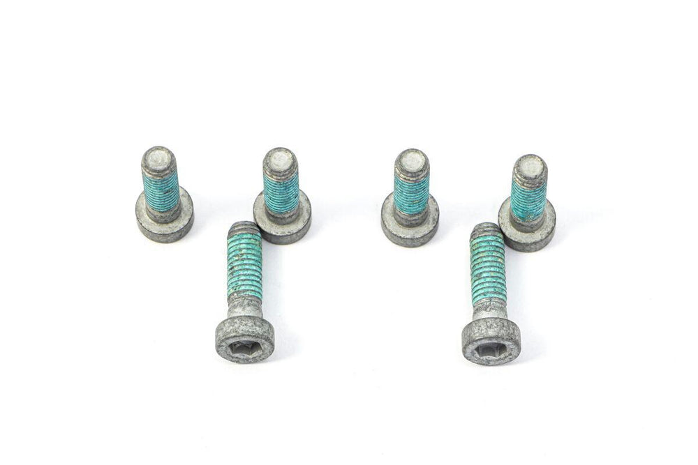 TRW Brake Disc Bolt Set For BMW F 650 CS 2002-2005 - Silver/Stainless Steel