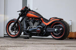 Cult Werk License Plate For Harley Davidson FXDR1868 2019