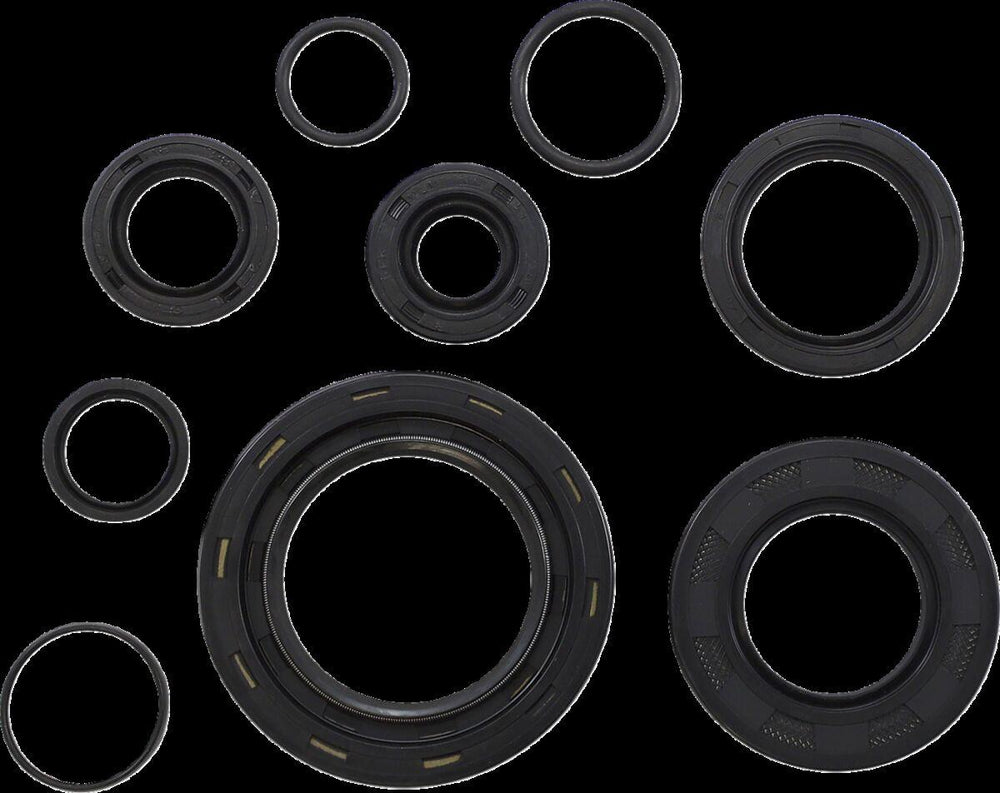 Vintco Oil Seal Kit For Honda CR250 1978-1979