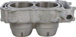 Cylinder Works Cylinder Kit For Polaris RZR XP 1000 4X4 - Grey
