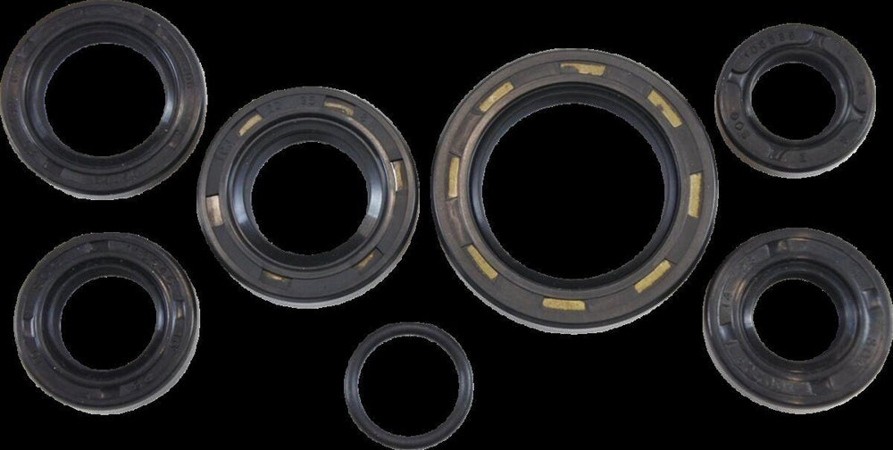Vintco Oil Seal Kit For Honda CR125 1980