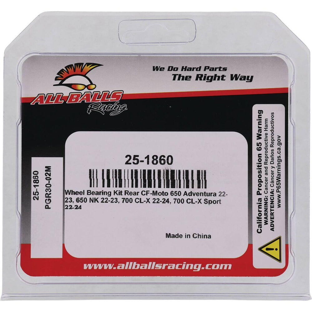 All Balls Wheel Bearing Kit For CF Moto CL-X 700 ABS 2022-2024