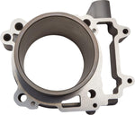 Moose Racing Replacement Cylinder For Polaris ACE 570 4X4 2018-2019 - Grey