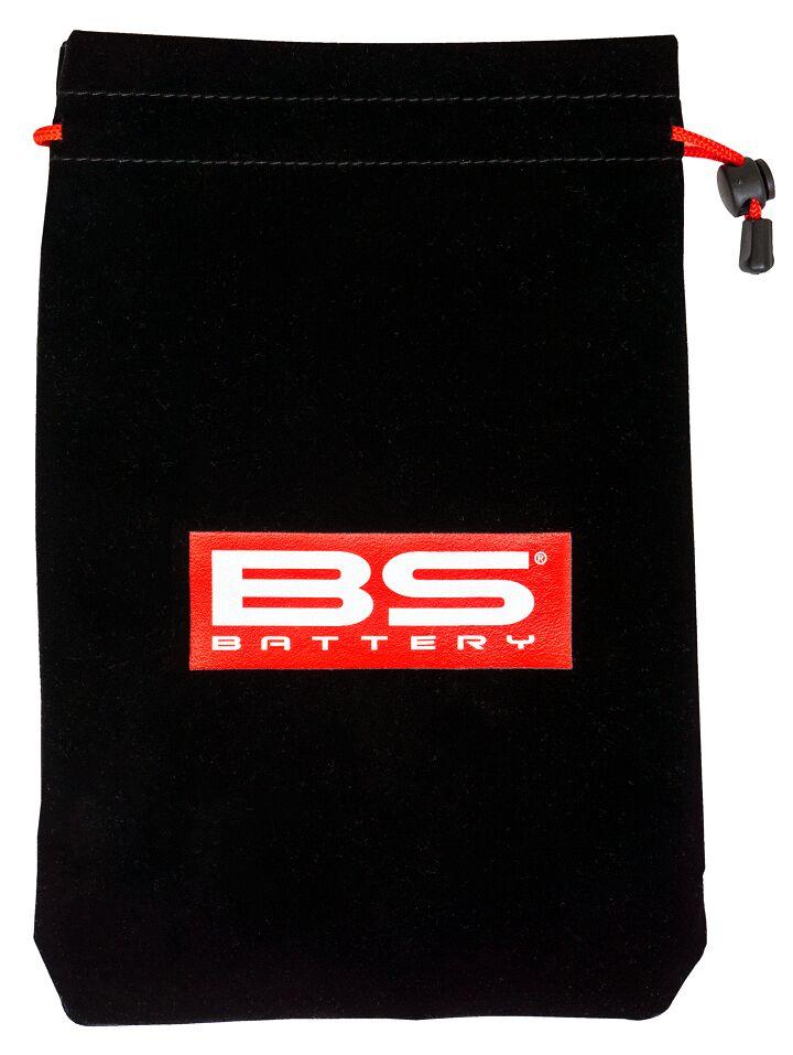 BS Battery BS10 6V/12V-1A Battery Charger With UK Plug