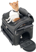 Saddlemen Pet Voyager Rear Carrier Bag - Black/Chrome