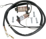 Ricks Stator For Suzuki RM85 2003-2020, RM125 1981-1985, RM250 1981-1983