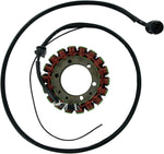 Ricks Stator - Kawasaki ZX-12 R Ninja 2000-01
