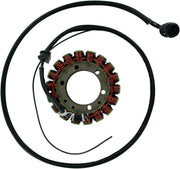 Ricks Stator - Kawasaki ZX-12 R Ninja 2000-01