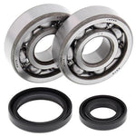 All Balls Crank Bearing And Seal Kit - Suzuki RM80 1989-2001, RM85 2002-23